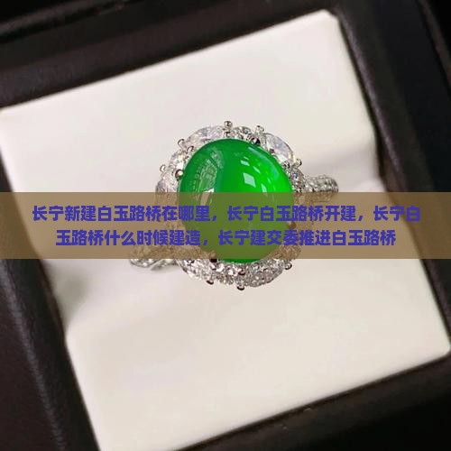 长宁新建白玉路桥