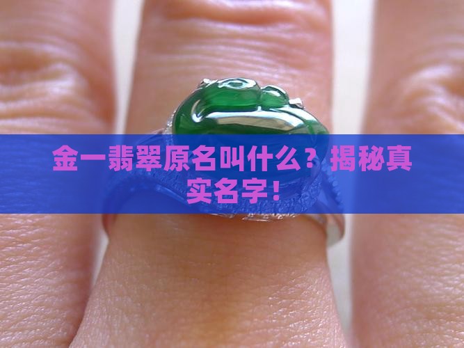 金一翡翠原名叫什么
