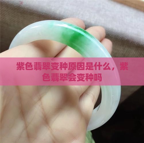 紫色翡翠变种原因是什么