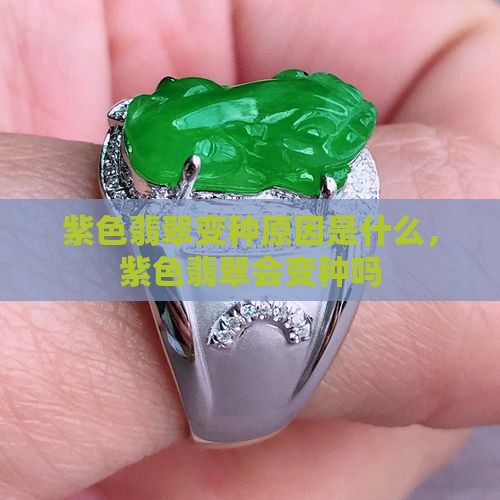 紫色翡翠变种原因是什么
