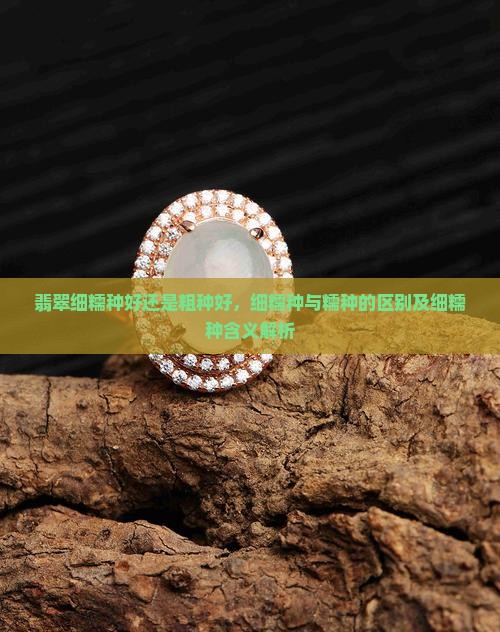 翡翠细糯种好还是粗种