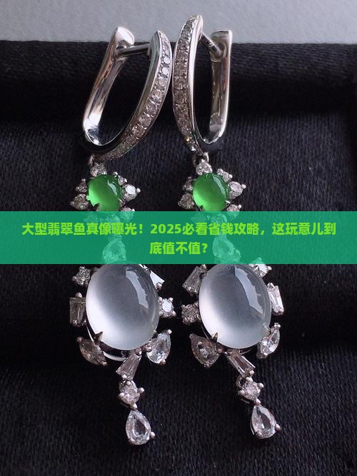 大型翡翠鱼