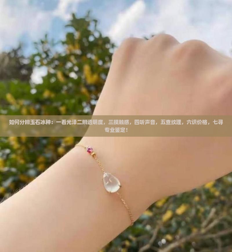 如何分辨玉石冰种
