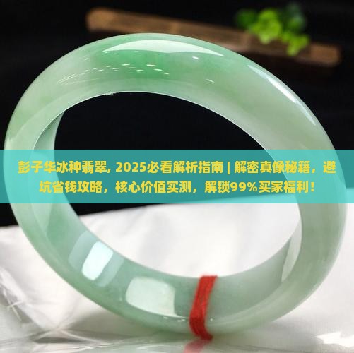 彭子华冰种翡翠