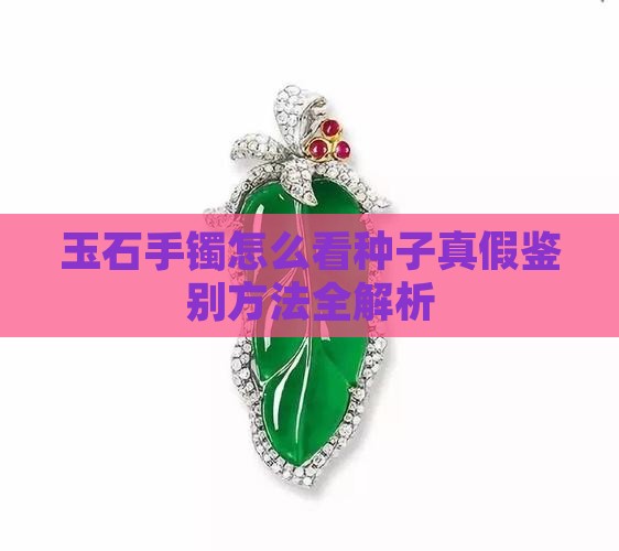 玉石手镯怎么看种子真假