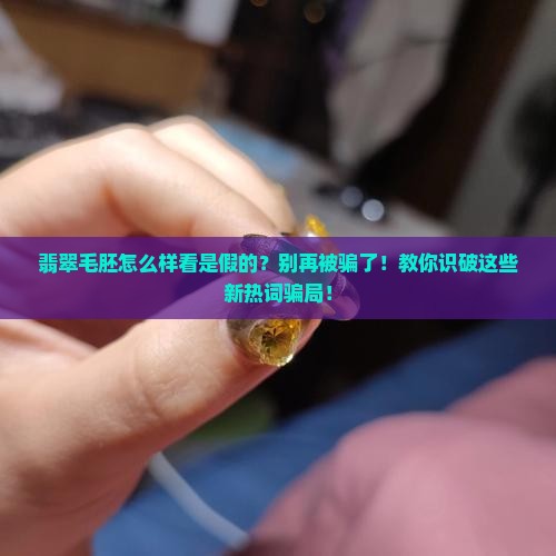 翡翠毛胚怎么样看是假的