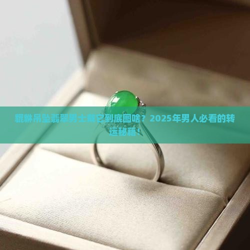 貔貅吊坠翡翠男士寓意