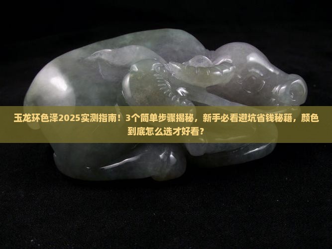 玉龙环色泽