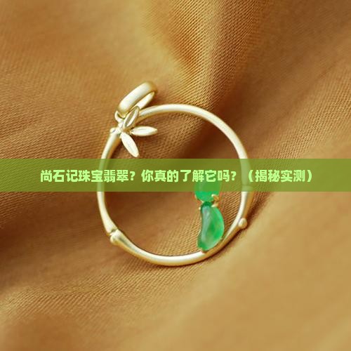 尚石记珠宝翡翠