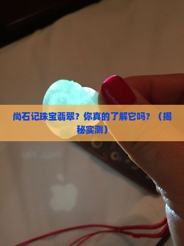 尚石记珠宝翡翠