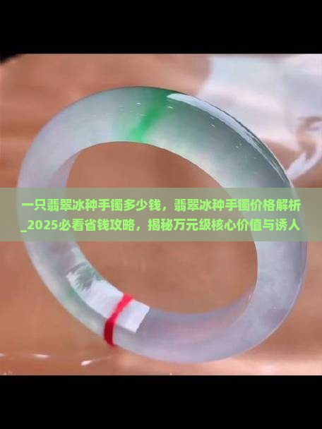 一只翡翠冰种手镯多少钱
