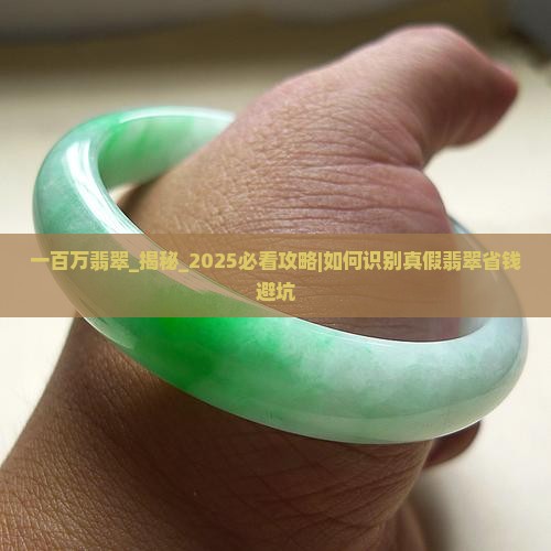 一百万缅甸翡翠 一百万缅甸翡翠