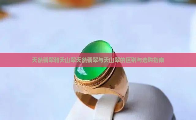 天然翡翠和天山翠