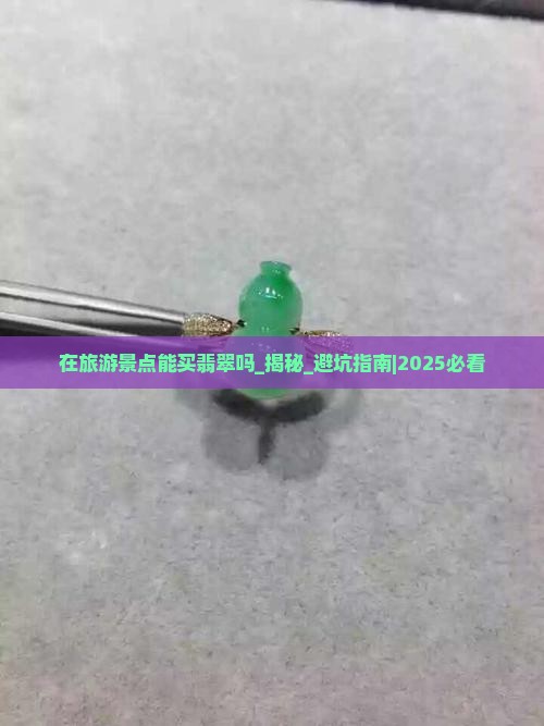 在旅游景点能买翡翠吗