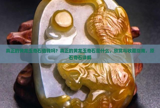 真正的黄龙玉奇石