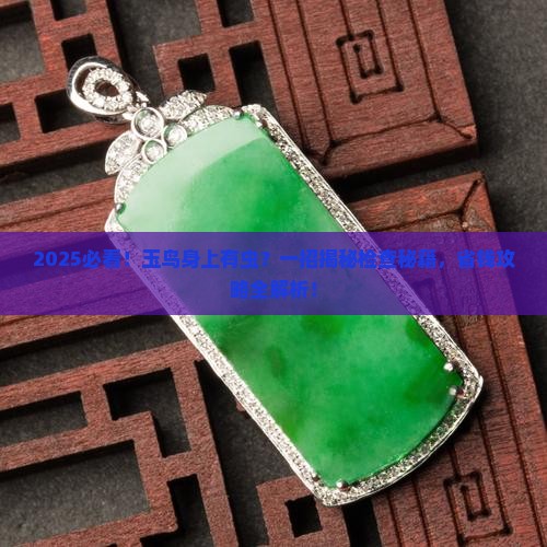 如何检查玉鸟身上有没有虫