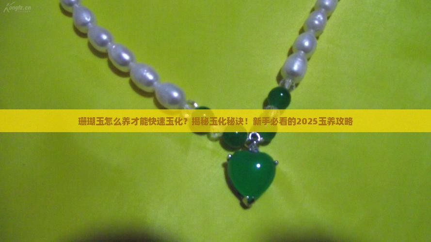 珊瑚玉怎么养玉化的快