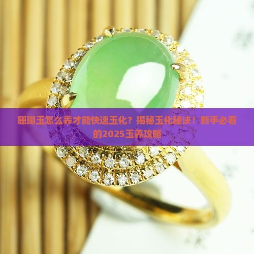 珊瑚玉怎么养玉化的快