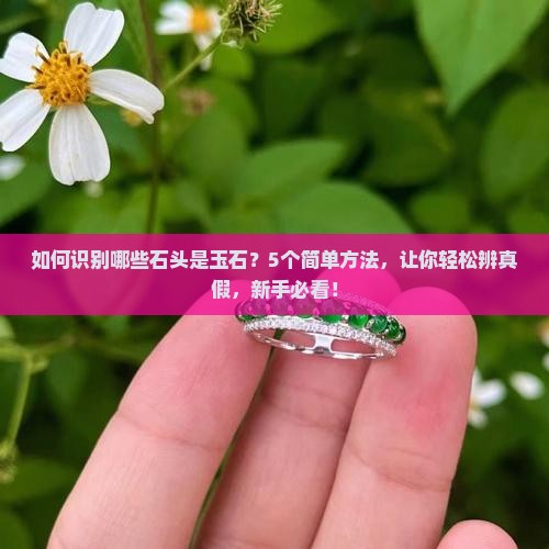 如何识别哪些石头是玉石