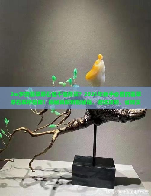 2w多的翡翠原石