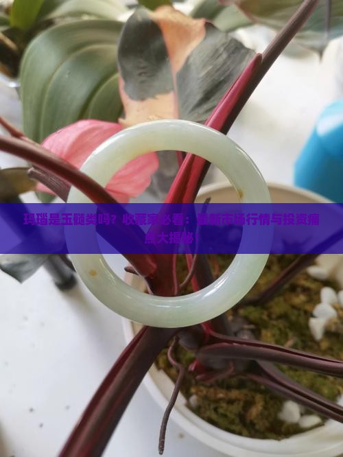 玛瑙是玉髓类吗