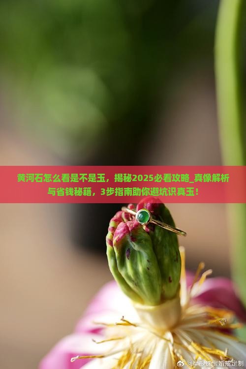黄河石怎么看是不是玉