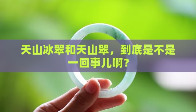 天山冰翠就是天山翠吗