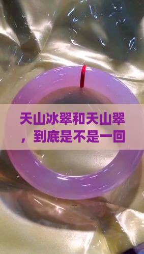天山冰翠就是天山翠吗