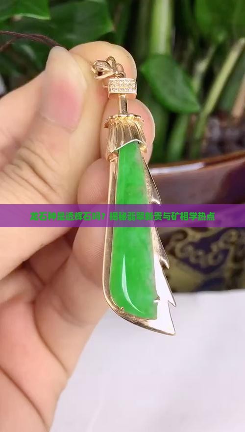 龙石种是透辉石吗