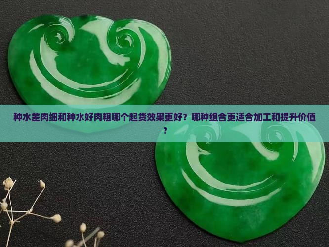 种水差肉细和种水好肉粗那个起货好