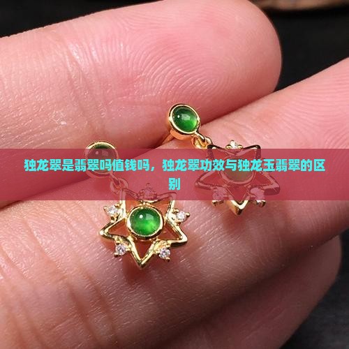 独龙翠是翡翠吗