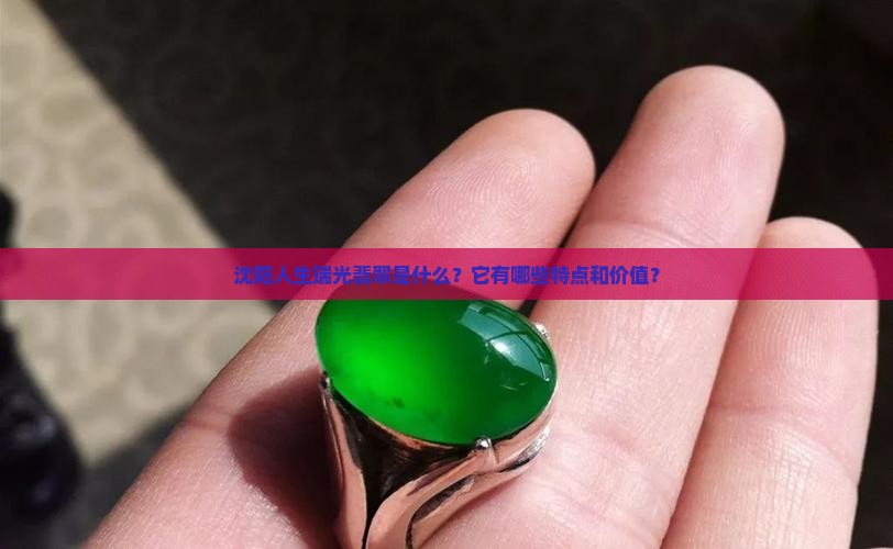 沈阳人生瑞光翡翠