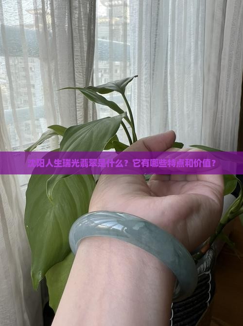 沈阳人生瑞光翡翠