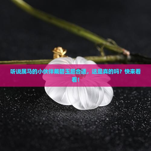 属马人适合戴碧玉