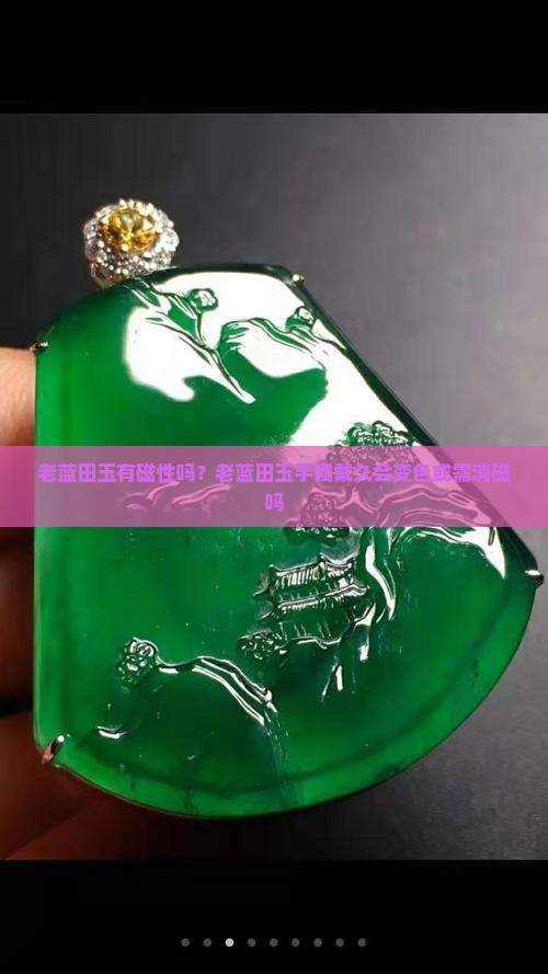 老蓝田玉有磁性吗