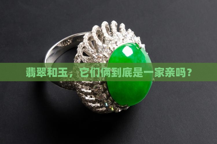 翡翠和玉是一样吗