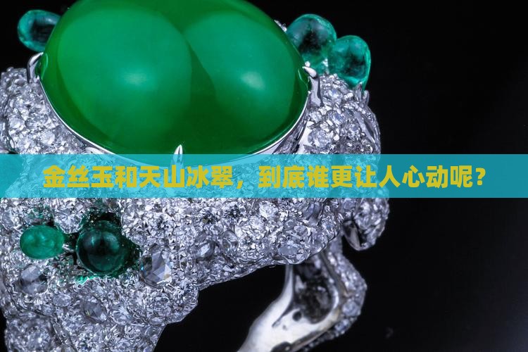 金丝玉好还是天山冰翠好