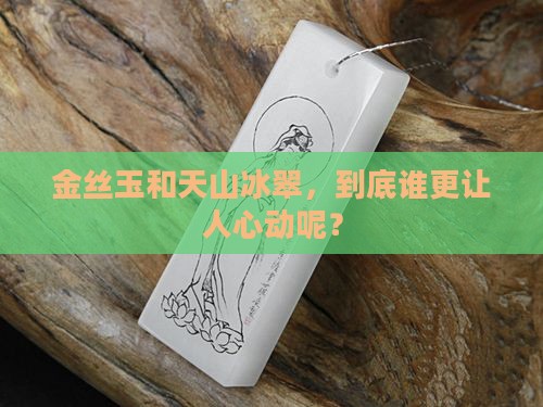 金丝玉好还是天山冰翠好