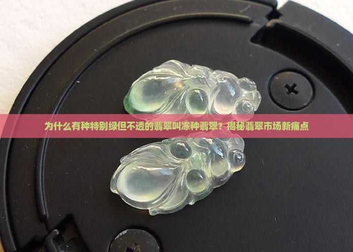 有种特别绿但不透的翡翠