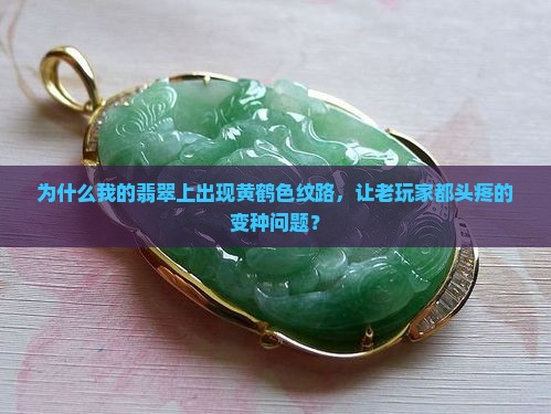 翡翠上黄鹤色纹路