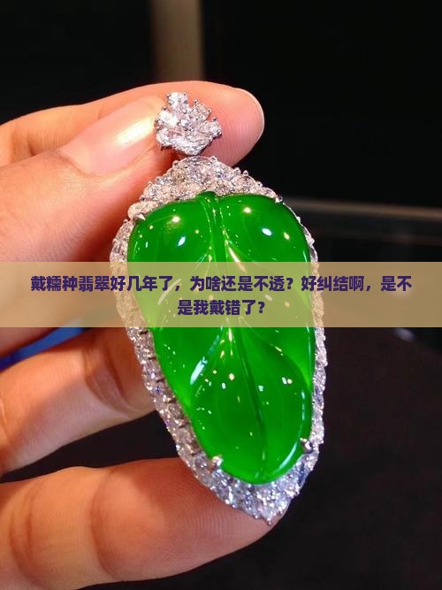 糯种翡翠不透明吗