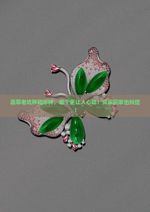 翡翠老坑种和翡翠冰种哪个好