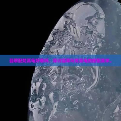 翡翠配梵高龟好看吗