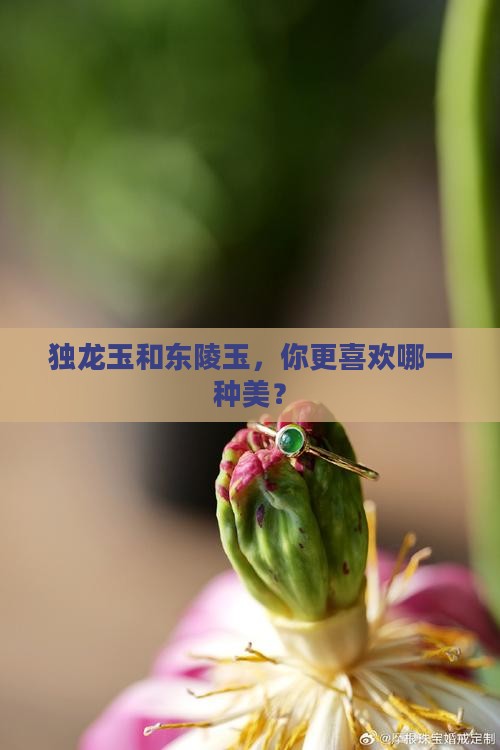 独龙玉东陵玉
