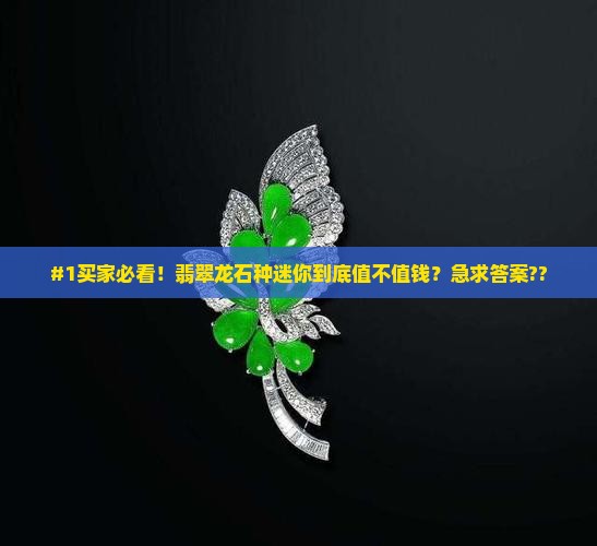 翡翠龙石种迷你值钱吗