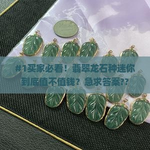 翡翠龙石种迷你值钱吗