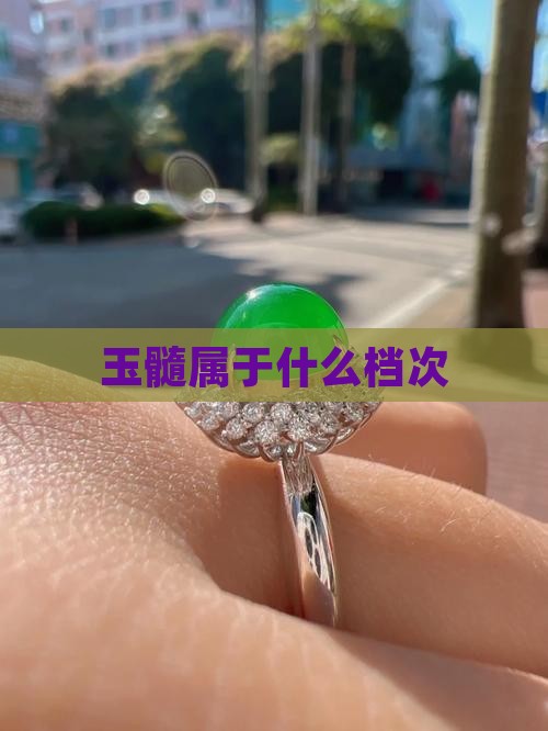 玉髓属于什么档次