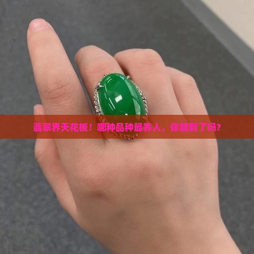 最养人的翡翠品种