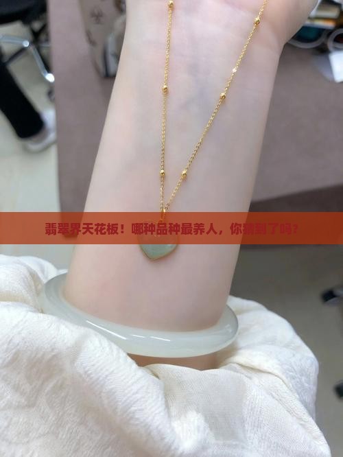 最养人的翡翠品种