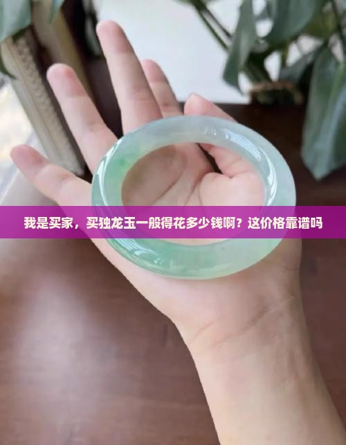 独龙玉戴一般多少价位